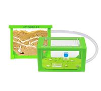 AntHouse - Fourmilière Naturelle en Sable | Kit Medium 3D Vert (Sandwich + Caisse de Fourrage) | Ferme de Fourmis | Colonie de Fourmis Incluse
