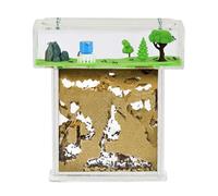 AntHouse - Fourmilière Naturelle en Sable | Kit T Acrylique 15x15x1,5 cm | Fourmis Incluses