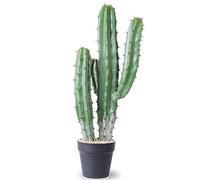 AntHousePlant Cactus Artificiel de 63,5 cm pour la Maison, Le Jardin, Le Bureau, la décoration du Magasin