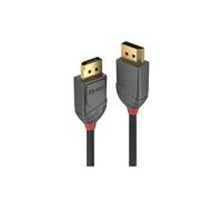 Lindy Anthra Line - Câble DisplayPort - DisplayPort pour DisplayPort - 3 m
