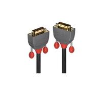Lindy Câble DVI Anthra Line 36223 DVI-D (M) pour DVI-D (M) 3 m noir, vis moletées