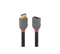 Lindy Rallonge câble DisplayPort Anthra Line 2 m