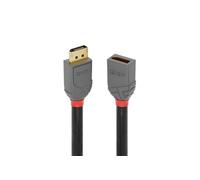 Lindy Rallonge DisplayPort Anthra Line 3 m