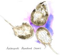Anthropods - Abundant Shores