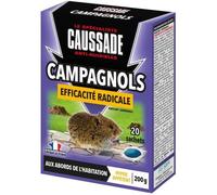 Anti-Campagnols - Efficacité Radicale - Lieux secs & humides - 20 sachets Pâtes - prêt à l'emploi - Une Ingestion Suffit - 200g