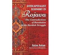Anti-Capitalist Economy in Rojava: The Contradictions of Revolution in the Kurdish Struggle