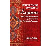 Anti-Capitalist Economy in Rojava: The Contradictions of Revolution in the Kurdish Struggle