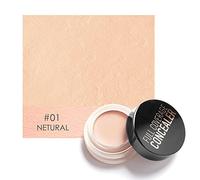 Anti-cernes Cicatrices, Cernes Anti-Taches Correcteur Correcteur de cicatrice Finition de peau impeccable pour Le Maquillage, Skin Tone Concealer, Correcteur Fluide Lissant Avec Fini Naturel