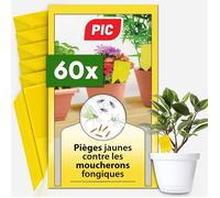 Anti Moucherons Plantes Interieur - 60x Piege Moucherons Interieur efficaces et fiables Piège anti moucheron recto-verso