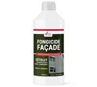 Anti-mousse, fongicide concentré anti dépôt vert, pour murs, façade, élimine aussi algues et lichens, 1 L (jusqu'à 250 m²) - ARCANE INDUSTRIES