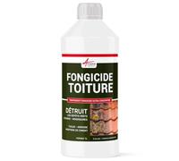 Anti-mousse, fongicide concentré, anti depot vert pour toiture, élimine aussi algues et lichens - 1 L (jusqu'à 250 m²) - ARCANE INDUSTRIES