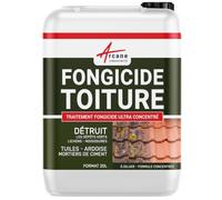 Antimousse Toiture Ultra Concentré - Élimine Mousses, Lichens et Algues - Traitement Toit Tuiles, Ardoises, Façades - 20 L - ARCANE INDUSTRIES