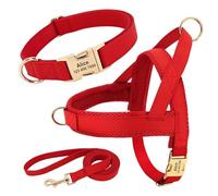 Anti-perdost Anti-Lost Réglable Brepwant Nylon Collar Huisse Lash Set Nom Personnalisé ID Labrador Français Bulldog Harness,Rouge,XS