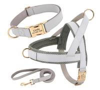 Anti-perdost Anti-Lost Réglable Brepwant Nylon Collar Huisse Lash Set Nom Personnalisé ID Labrador Français Bulldog Harness,Gris,S