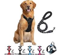 Anti Pull Dog Harness, Adjustable Anti Pull Dog Harness with Control Handle, Comfortable Reflective Vest, Front and Back Tie, Secure Harness for Dogs
