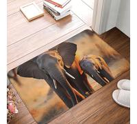 Anti-saleté Paillasson Bébé éléphant Mignon et Maman, Tapi de Douche, Terrasse, Intérieur, Cuisine, Anti-Poussière Tapi de Douche 40X60cm