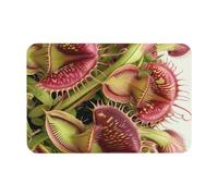 Anti-Saleté Tapis Bains Impression De Plante Carnivore Tapis De Bain Facile À Nettoyer Tapi De Sol D'Intérieur pour Salle De Bain Intérieur Terrasse 40X60Cm