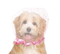 Anti Scavenging Pet Muzzle, Breathable Mesh Training Muzzle, 9.8x9.8x11.8in Dog Cat Adjustable Secure Fit Control Lightweight Comfortable Design for Walking Park Play Public Space Use