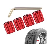 Anti Theft Air Nozzle Protector - Zinc Alloy Brass Set | Car Tire Valve