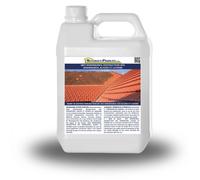 Anti verdissures, destructeur des verdissures, algues et lichens Bidon de 2 L