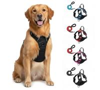 Anti-Zug Hundegeschirr mit Frontclip & gepolsterten Gurten - verstellbares Sicherheitsgeschirr, atmungsaktiv, für Kleine & mittlere Hunde, Größe S-XL, Schwarz/Grau (Schwarz,L)