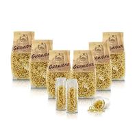 Antico Pastificio Morelli 1860 Srl Gramigna, Pâtes À La Semoule De Blé - Pâtes Régionales Typiques d'Italie - Lot De 6 x 500g
