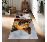Antidérapant Tapis de Passage 50 x 140 cm, Tapis de Cuisine Lavable Animal Chien Rose Rouge Doux Entree Interieur Long Portraits Photographiques pour Porte Couloir Passage Cuisine et Chambre