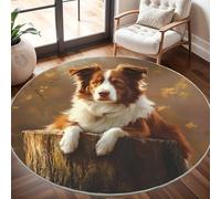 Antidérapant Tapis Rond Lavable en Machine, Border Collie Brun Doux et Durable Tapis Rond pour Chambre, Entrée, Salle à Manger, Bureau L'intérieur Décorer Brun Clair Ø 80 cm Circulaire