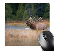 Antidérapante Tapis De Souris Canada Alberta Élan des Montagnes Rocheuses 25X30Cm, Mouse Pad Stable Tapis De Gaming pour Bureau Ordinateur Jeux