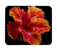 Antidérapante Tapis de Souris Gaming Carré avec Bord Cousu, Fleur d'hibiscus Gamer Mouse Pad Mousepad 25x30cm pour PC,Ordinateur,Bureau