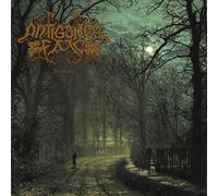 Antigones Fate - Insomnia