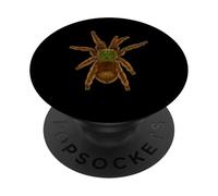 Antilles Tarentule Araignée Poilue Amoureux Arachnid PopSockets PopGrip Adhésif