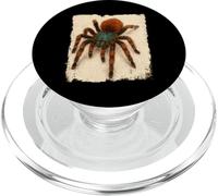 Antilles Tarentule Araignée Poilue Amoureux Arachnid PopSockets PopGrip pour MagSafe