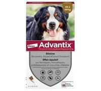 Antiparasite pour chien Elanco Advantix 6 ml Blanc 6 ml