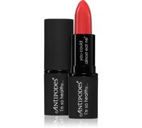 Antipodes Moisture-Boost Natural Lipstick rouge à lèvres nourrissant teinte South Pacific Coral 4 g