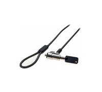 Générique Antivol à clé pour Ordinateur Portable Dell avec Encoche Wedge (2 mètres)