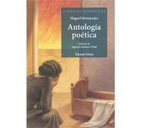 Antologia Poetica De Miguel Hernandez Clasicos Hispanicos Sanchez Vidal, Agustin Editor (Auteur)
