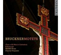 Anton Bruckner – Motets – CD – The Orchard