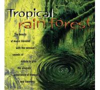 Anton Hughes - Tropical Rain Forest