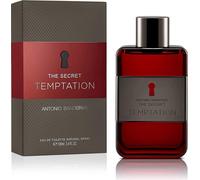 Antonio Banderas The Secret Temptation Eau de Toilette pour homme 100 ml