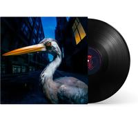 Antony Szmierek Decoding Birdsong (Vinyl) 12" Album (PRESALE 21/08/2026)