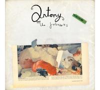 Antony & The Johnsons - Swanlights [Import Allemand]