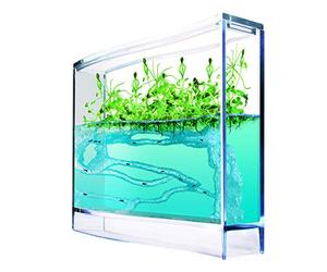 Antquarium - 6146661 - Jeu Éducatif - Super Foret de Fourmis