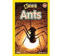 Ants, National Geographic Readers Melissa Stewart (Auteur)