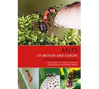 Ants of Britain and Europe