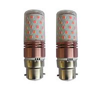 ANTYX 10w b22 Baïonnette LED Ampoule 12V 24V bulbe de maïs à Basse Tension 2835 SMD 60 LED AC/DC 12-40v for RV Camper Marine, Énergie Solaire Lumière et Grille 2 Pack (Couleur : Rouge)