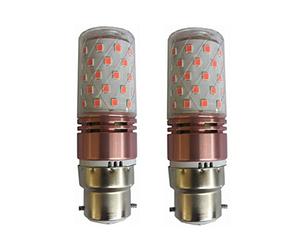 ANTYX 10w b22 Baïonnette LED Ampoule 12V 24V bulbe de maïs à Basse Tension 2835 SMD 60 LED AC/DC 12-40v for RV Camper Marine, Énergie Solaire Lumière et Grille 2 Pack (Couleur : Rouge)