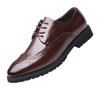 ANUFER Hommes Bout Pointu Intelligent Therma Doublure en Peluche Chaussures Habillées d'hiver Lacer Richelieus de Mariage Marron SN07990 EU40