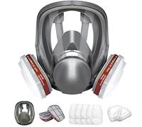 ANUNU Masque de Protection, Masque respiratoire complet avec filtre 6001 pour peinture, contre la poussière, les produits chimiques, le polissage, la pulvérisation de voiture, le ponçage