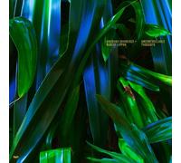 ANUSHKA/ROBERT LIPPOK CHKHEIDZE - UNCONTROLLABLE THOUGHTS CD NEUF